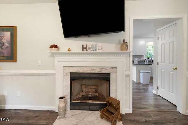 room details featuring wood-type flooring, a fireplace, and sink