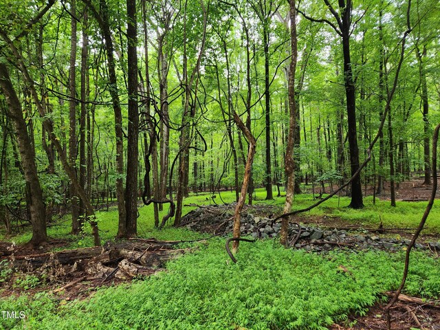 9625 S Lowell Rd, Bahama, NC 27503