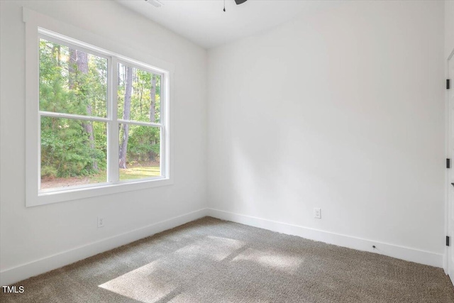 unfurnished room with ceiling fan and carpet flooring