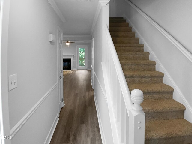 1432 Quarter Pt, Raleigh, NC 27615 - staircase featuring wood finished floors, crown molding, ceiling fan, and a glass covered fireplace