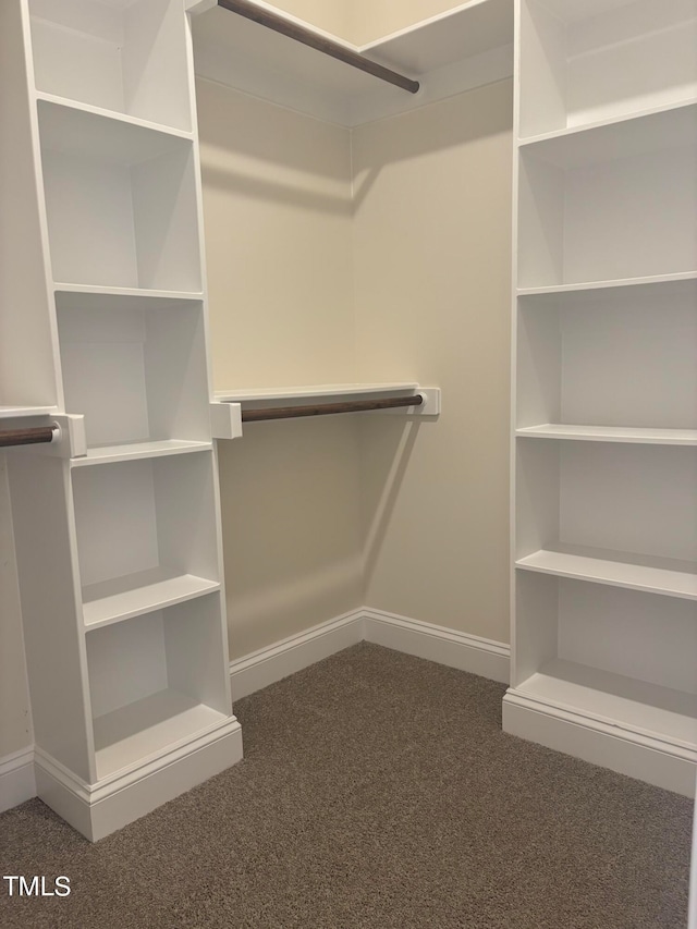 spacious closet featuring dark colored carpet