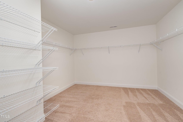 walk in closet featuring carpet flooring