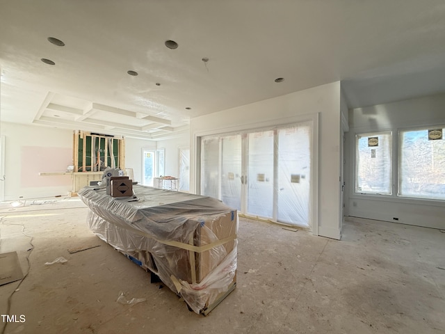 bedroom with access to exterior, multiple windows, and a raised ceiling