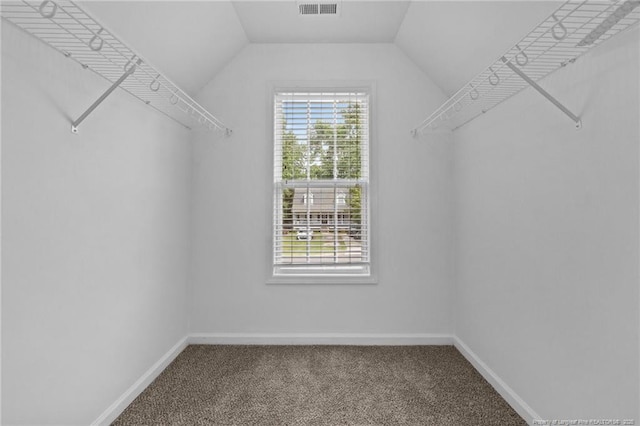 60 Hunters Way, Angier, NC 27501 - spacious closet featuring carpet flooring and vaulted ceiling