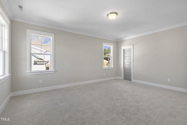 empty room with carpet and crown molding