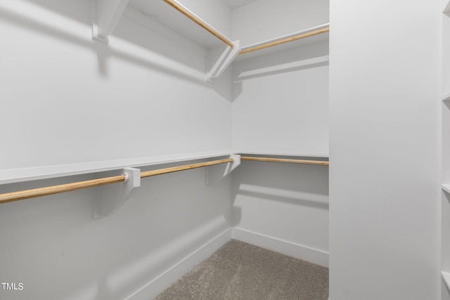 spacious closet with carpet