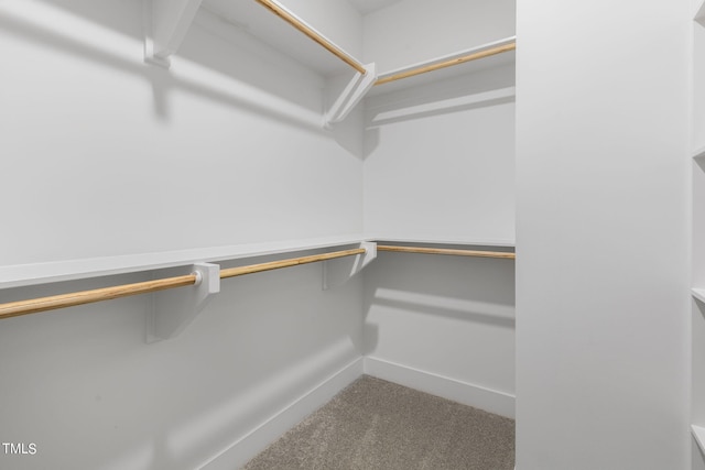 210 Colvard Farms Rd, Durham, NC 27713 - spacious closet featuring carpet