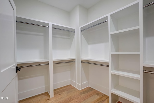 spacious closet with light wood-type flooring