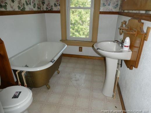 bathroom with toilet and a bathing tub