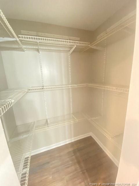 spacious closet featuring wood-type flooring