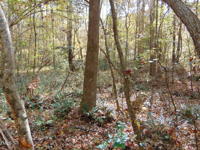 000 Big Woods Rd, Macon, NC 27551 - photo 3