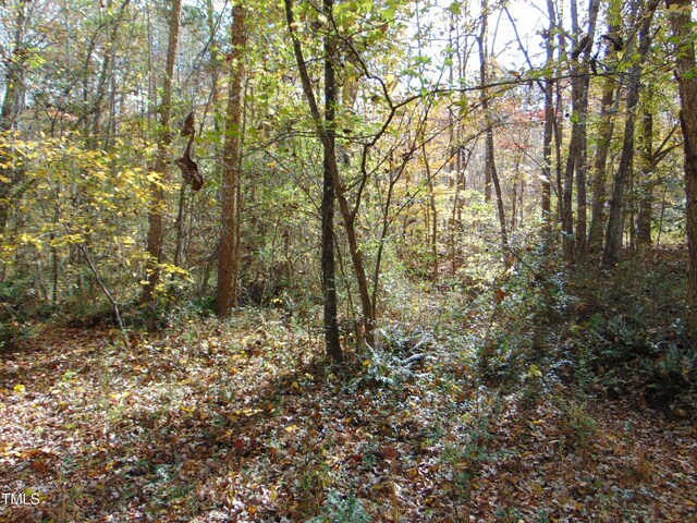 000 Big Woods Rd, Macon, NC 27551 - photo 8