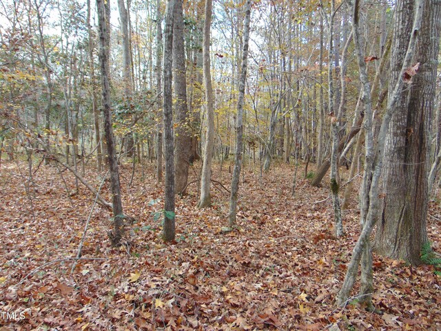 000 Big Woods Rd, Macon, NC 27551 - photo 9