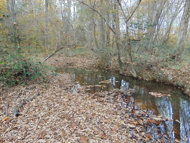 000 Big Woods Rd, Macon, NC 27551 - photo 2