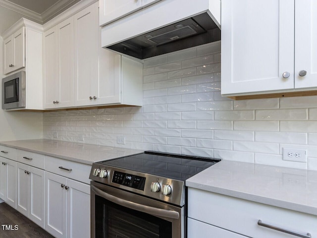 6052 Scalybark Rd, Durham, NC 27712 - kitchen featuring white cabinets, appliances with stainless steel finishes, custom range hood, tasteful backsplash, and ornamental molding
