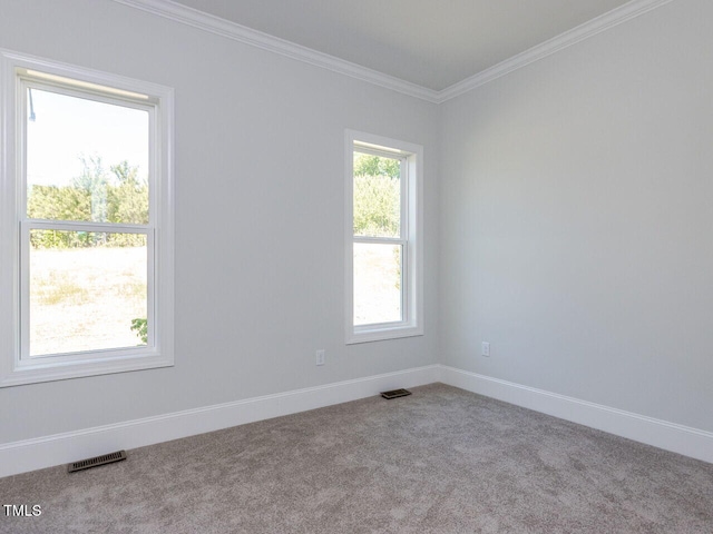 6052 Scalybark Rd, Durham, NC 27712 - unfurnished room featuring carpet flooring, baseboards, visible vents, and ornamental molding