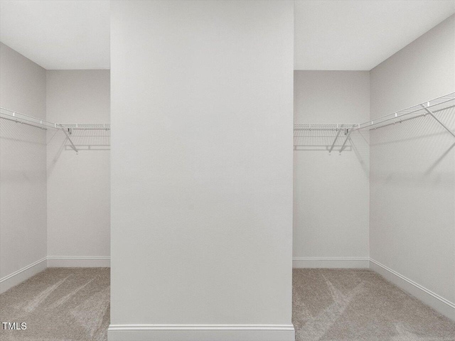 spacious closet with carpet flooring