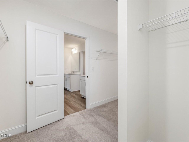 spacious closet featuring carpet flooring and a sink