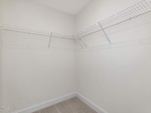 walk in closet with light colored carpet