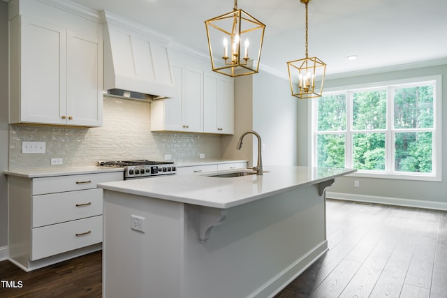 kitchen with ornamental molding, stove, dark wood-style flooring, custom exhaust hood, and a sink