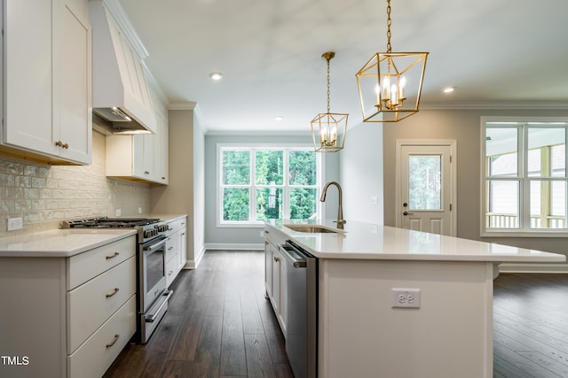 kitchen with crown molding, stainless steel appliances, custom range hood, decorative backsplash, and a sink