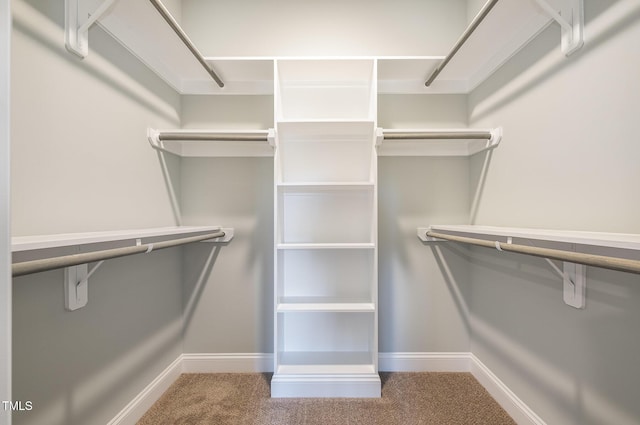 spacious closet with carpet flooring