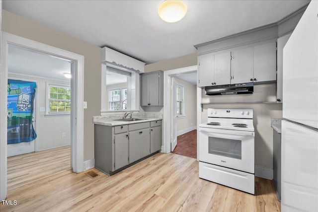 kitchen with gray cabinetry, sink, light wood-type flooring, and white appliances