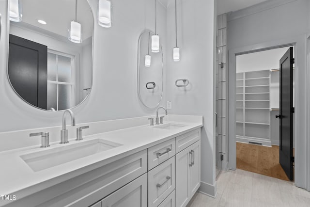 bathroom featuring double vanity, a sink, and a walk in closet