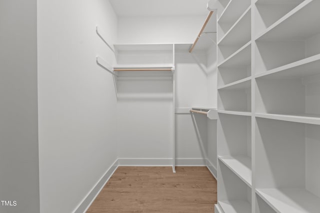 walk in closet featuring wood-type flooring