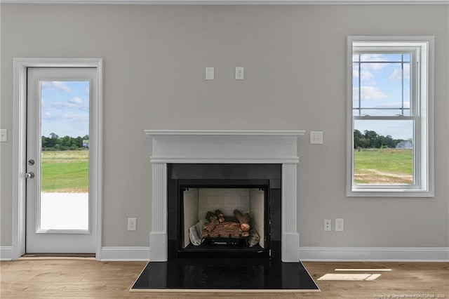 room details featuring wood finished floors, a fireplace with flush hearth, and baseboards