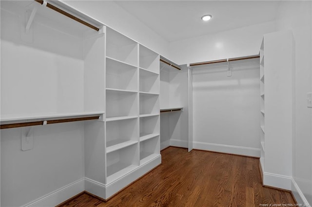 spacious closet featuring dark hardwood / wood-style flooring