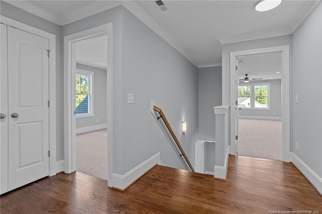 stairway featuring carpet flooring, a wealth of natural light, and crown molding