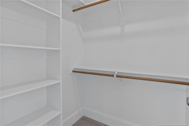 view of walk in closet