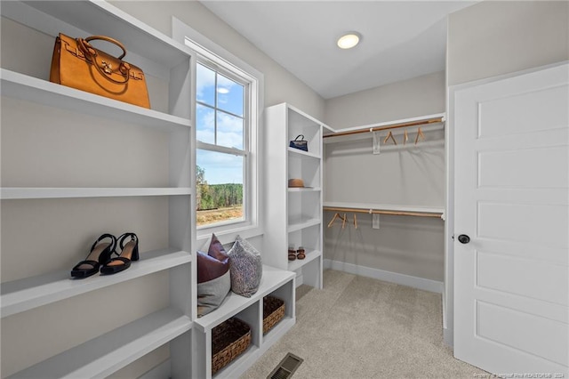 spacious closet with light colored carpet