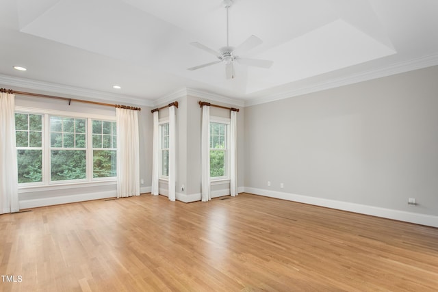 empty room with crown molding, a healthy amount of sunlight, and a tray ceiling