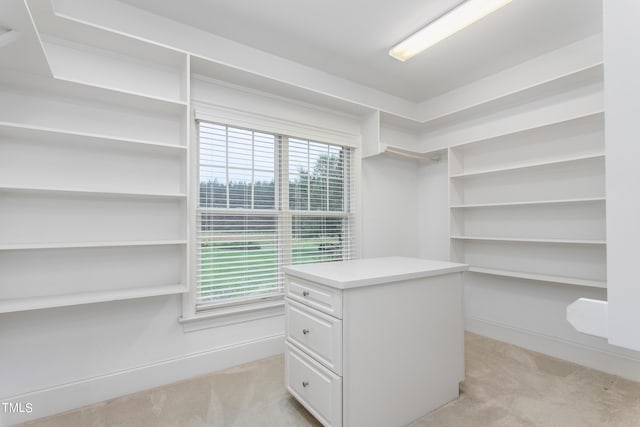 spacious closet with light carpet