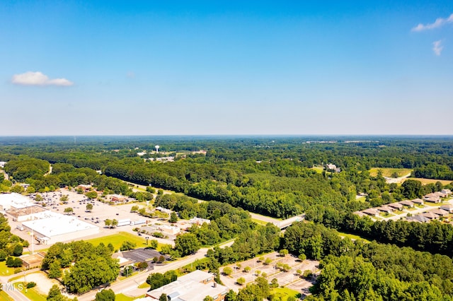 1213 Shepard School Rd, Zebulon, NC 27597 - photo 6