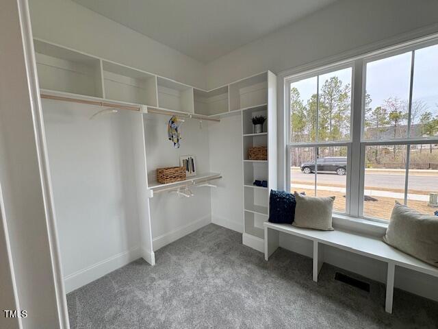 mudroom with carpet, plenty of natural light, and baseboards