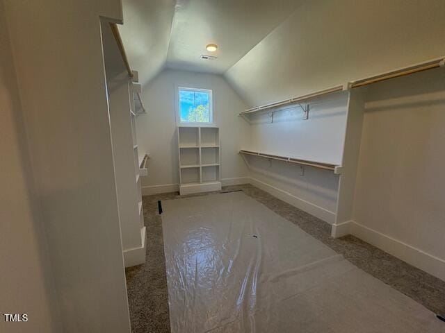 walk in closet featuring vaulted ceiling and carpet