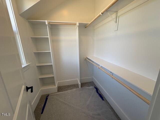 view of walk in closet