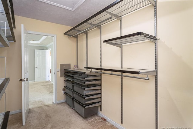 walk in closet with light carpet