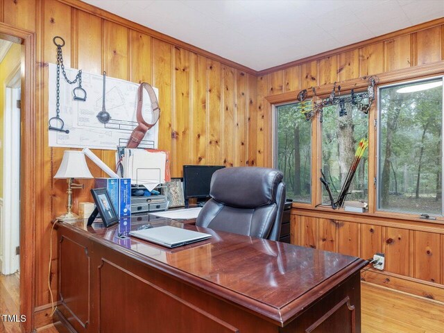 home office with crown molding, wooden walls, and light wood-type flooring