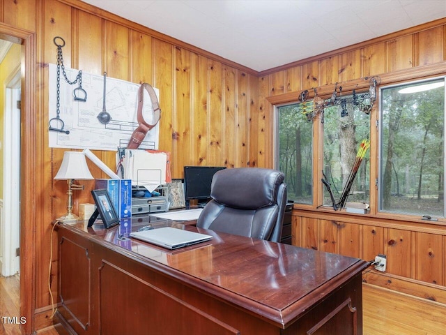 office space with plenty of natural light, wooden walls, and light hardwood / wood-style flooring