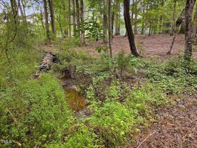 view of local wilderness featuring a water view