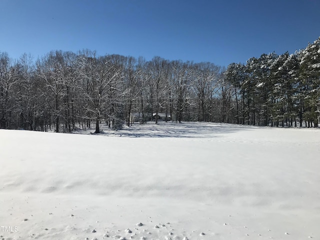 view of yard covered in snow