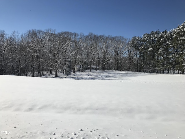 view of snowy yard