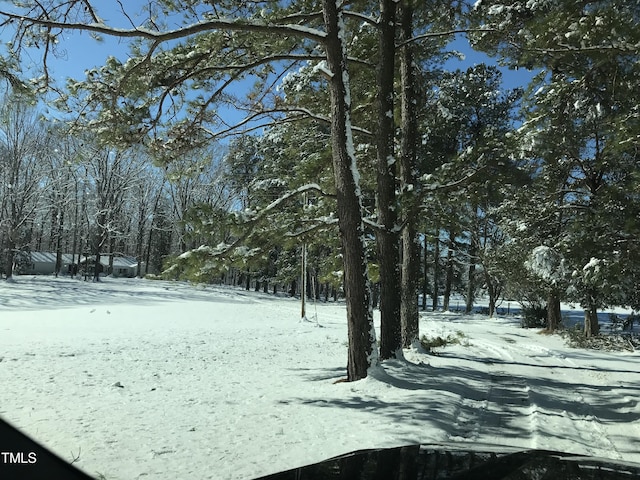 view of snowy yard