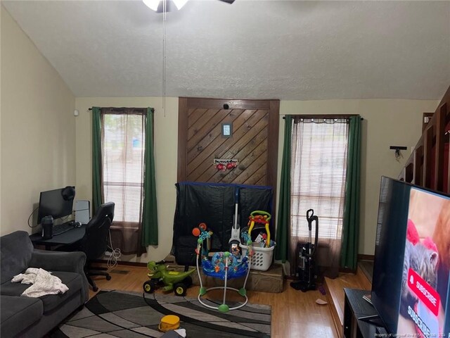 living room featuring a textured ceiling, light hardwood / wood-style flooring, and plenty of natural light