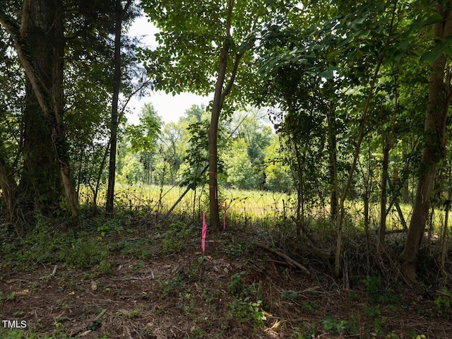 401 Buck Gunter Rd, Siler City, NC 27344 - photo 5