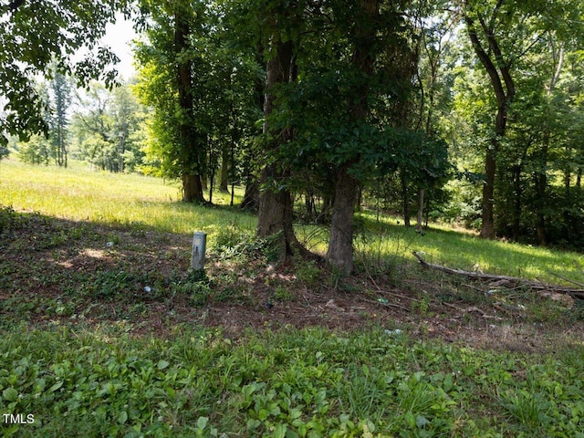 401 Buck Gunter Rd, Siler City, NC 27344 - photo 6